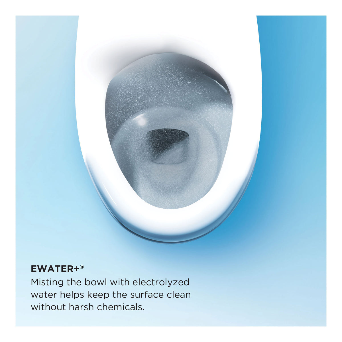 Toto® MW6423046CEFG#01 1-Piece High-Efficiency Toilet With CEFIONTECT® Ceramic Glaze, Nexus®, Elongated Bowl, 16-1/8 in H Rim, 12 in Rough-In, 1.28 gpf, Cotton White, Import
