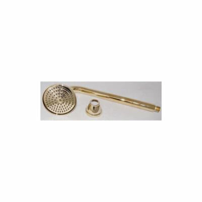Toto® THU4191 Shower Head Assembly, LifeKoat™, Wall Mount