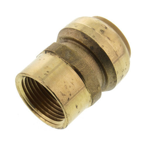 SB FEMALE NPT CONNECT 1"X1"