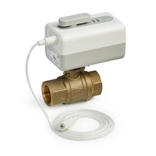 L5 WIF W 1" NPT BV