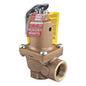 0275404 174A Pressure Relief Valve - FNPT - 125 PSI Pressure
