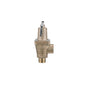 Automatic Reseating Temperature/Pressure Relief Valve - 3/4"