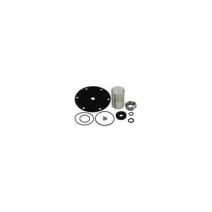 Valve Repair Kit - for Model LF25AUB