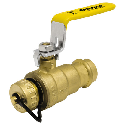 3/4" H-X031 Ball Valve - Forged Brass - FNPT x Hose