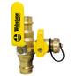 Pro-Pal - X061 Ball Valve - Brass - 8161