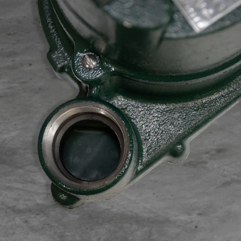Effluent Pump - Cast Iron - Non-Automatic