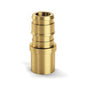 Zurn® QE670GX Adapter, 3/4 x 1/2 in Nominal, F1960 Expansion PEX x Male C End Style, Brass