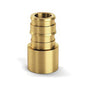Zurn® QE775GX Adapter, 3/4 in Nominal, F1960 Expansion PEX x Female C End Style, Brass