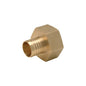 Zurn® Zurn PEX® QQUFC77GX Crimp Non Swivel Pipe Adapter, 1-1/2 in, Barb x FNPT, Brass