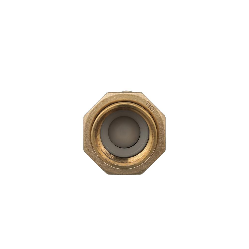 700XL - 1" Horizontal/Vertical Dual Check Valve - Bronze
