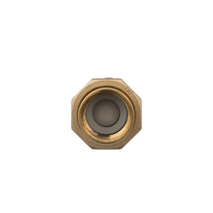 700XL - 1" Horizontal/Vertical Dual Check Valve - Bronze