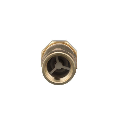 700XL - 1" Horizontal/Vertical Dual Check Valve - Bronze