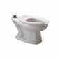 Zurn® Ecovantage® Z5655 1-Piece Toilet, Elongated Bowl, 15 in H Rim, 1.1 gpf Flush Rate