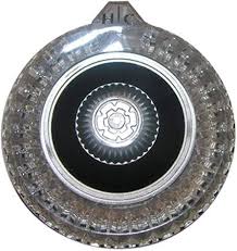 MOENCLR OLD SHWR HANDLE