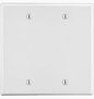 WHITE 2G BLANK PLATE
