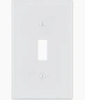 1G OVERSIZE IV SWITCH PLATE