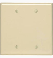 2 GANG INVORY BLANK COVER