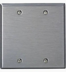 2 GANG SS BLANK PLATE